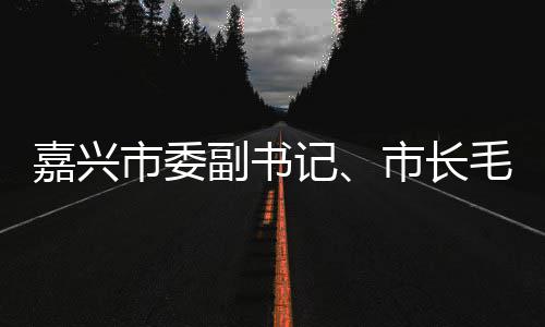 毛宏目行调类项研联运环副书芳一嘉兴记境垃圾分市委市长