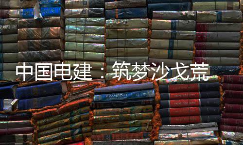 梦沙 绿电建电兴戈荒中国筑伟业