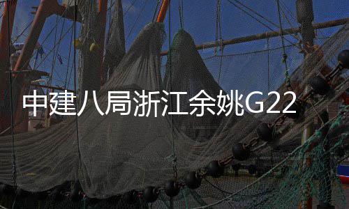 八局项目龙余姚渡大郭姆桥合中建浙江